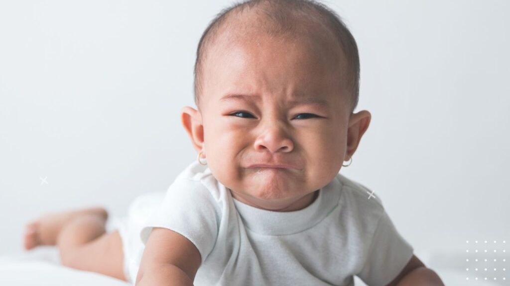 Why Do Babies Cry When You Moo at Them 4