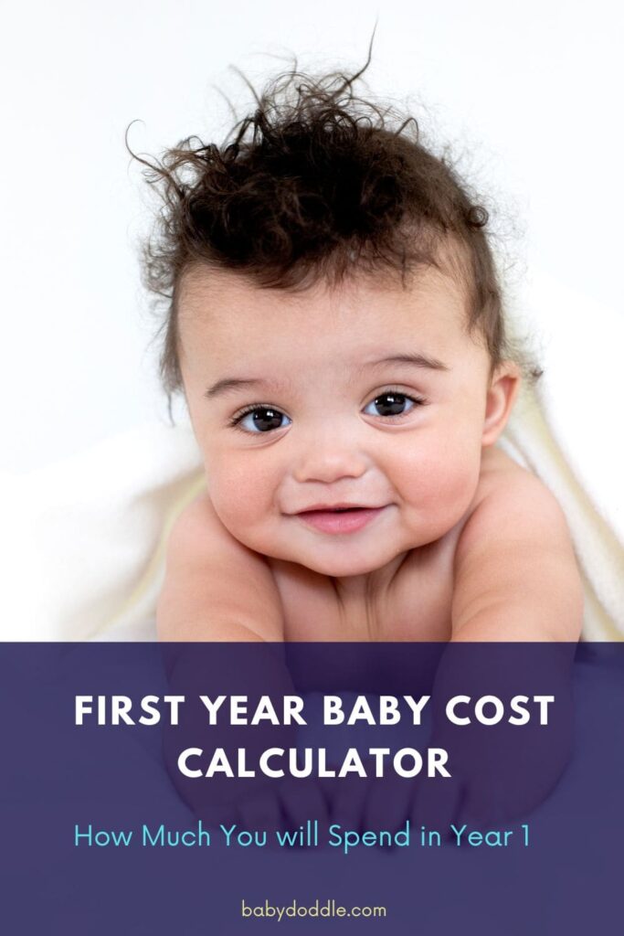 First Year Baby cost calculator 2
