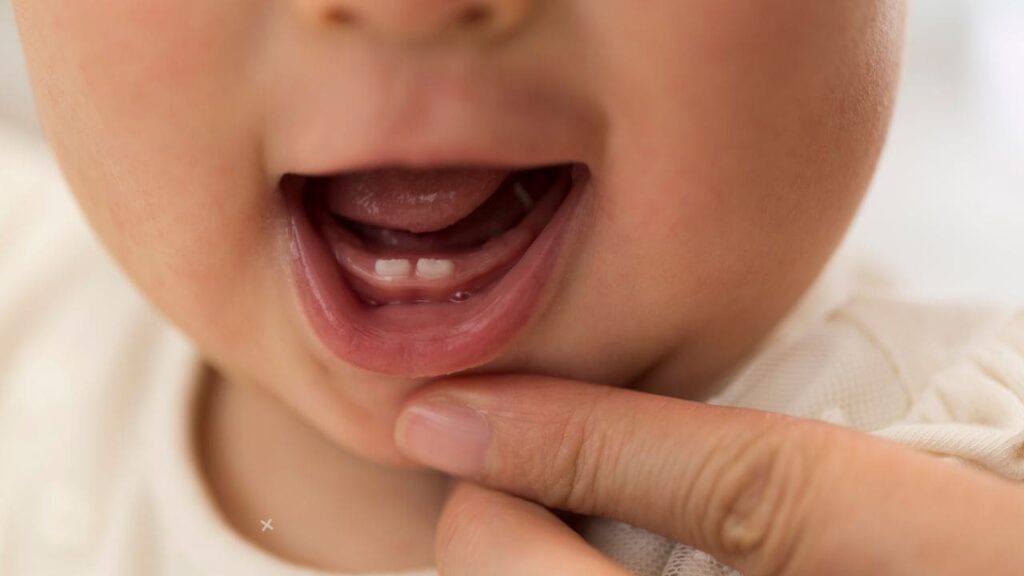 Do Baby Teeth Have Roots 3